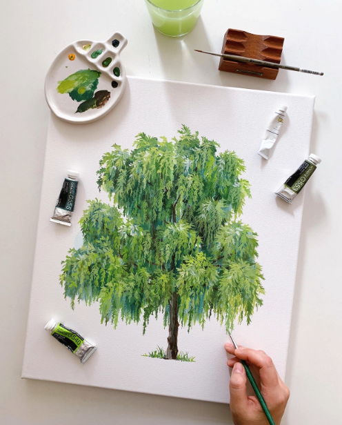 버드나무 그리는 이야기