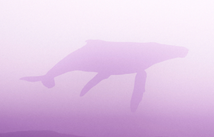 테스트 펀딩 333