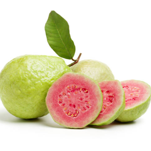 PG 테스트 펀딩 프로젝트